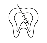 Endodontics service image